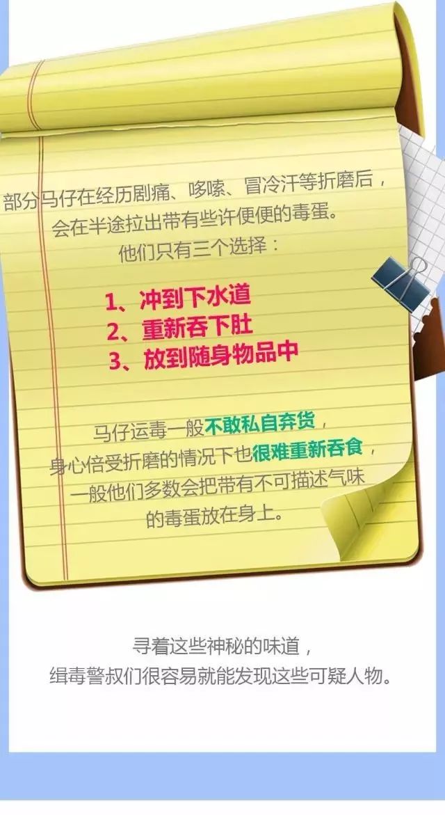 澳门六和彩资料查询与免费查询的警示，警惕犯罪风险