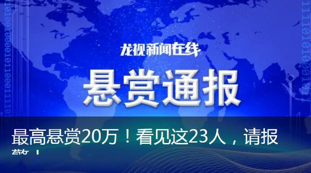 关于澳门免费精准大全的探讨与警示——警惕违法犯罪问题