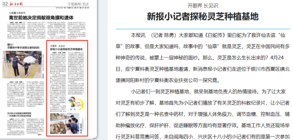 最新特新报A图库，探索前沿资讯的视觉盛宴