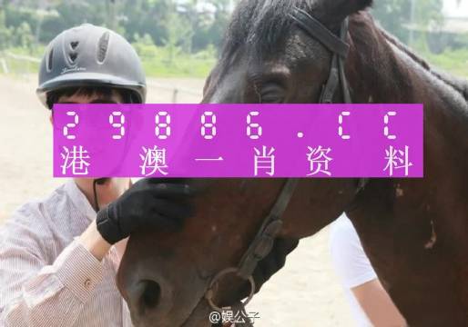 澳门必中一一肖一码服务内容——揭示背后的风险与警示公众