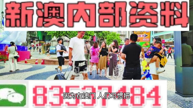 关于新澳2024正版资料的免费公开，警惕犯罪风险