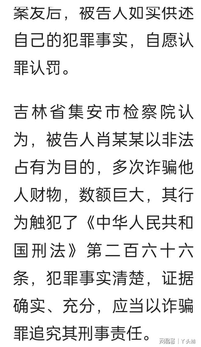 一肖一码一一肖一子，揭示背后的犯罪风险与应对之道