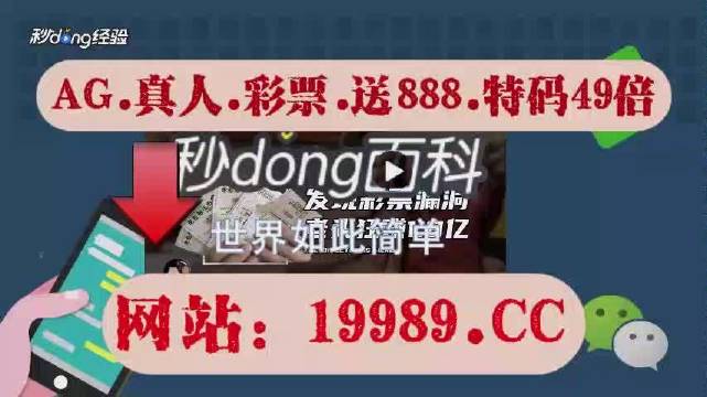 2024年新澳门天天开奖免费查询,异常解答解释落实_兼容集76.088