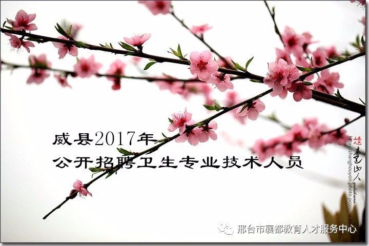 威县最新招聘动态——2017年招聘启事概览